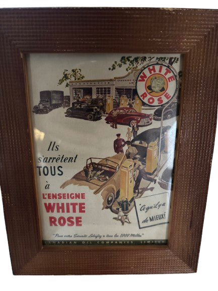 White Rose Framed Advertising (french)