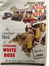 White Rose Framed Advertising (french)