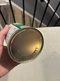 BP Turbo Oil 2380 Can (Quart)
